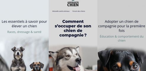 https://www.assuranceschien.fr