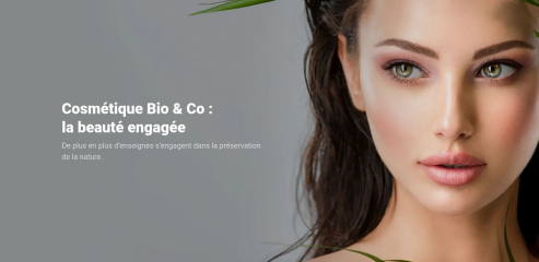 https://www.cosmetique-bio-and-co.com